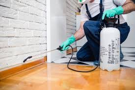 Real Estate Pest Inspections in Cheboygan, MI